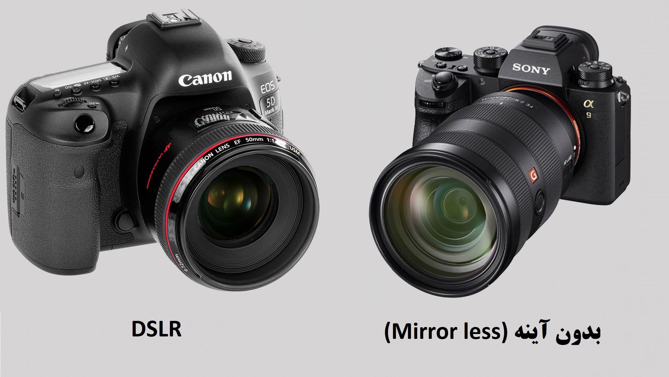 تفاوت بین دوربین‌های DSLR و بدون آینه