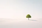 عکاسی مینیمالیستی؛ هنر سادگی در قاب تصویر