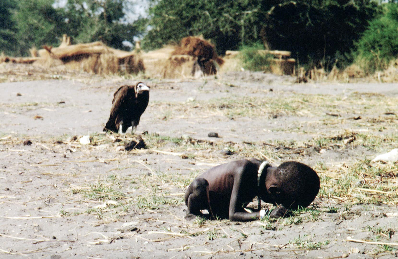 عکس کرکس و کودک سودان